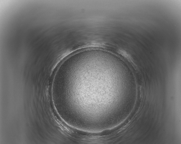 X0000080151260200612151821