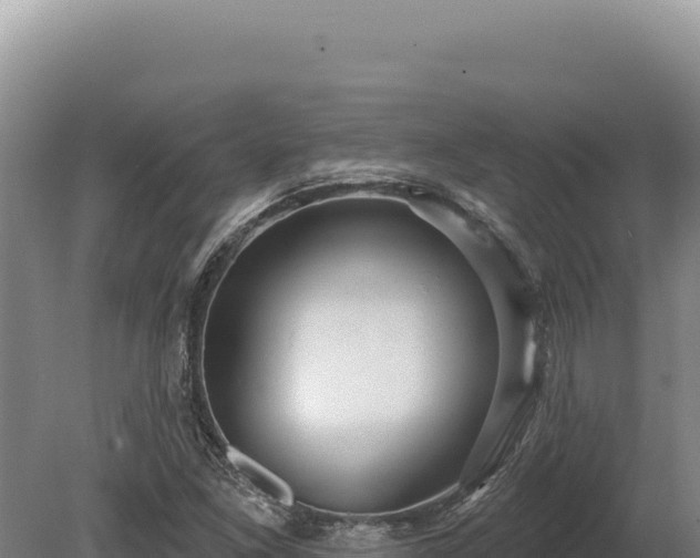 X0000080151261200612151821