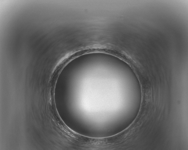 X0000080151262200612151821