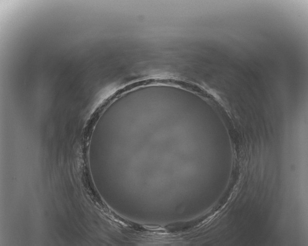 X0000080151263200612151821