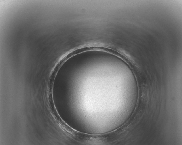 X0000080151264200612151821