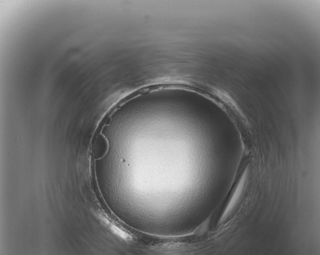 X0000080151268200612151821