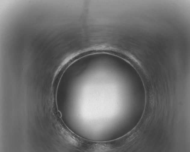 X0000080151270200612151821