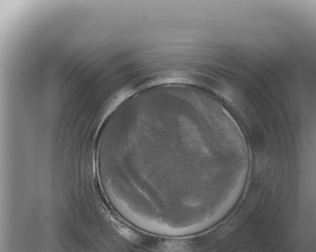 X0000080151274200612151821