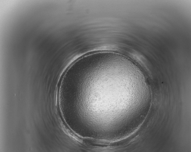 X0000080151276200612151821