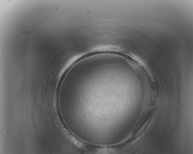 X0000080151277200612151821