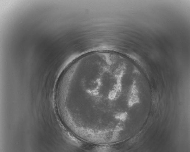 X0000080151278200612151821