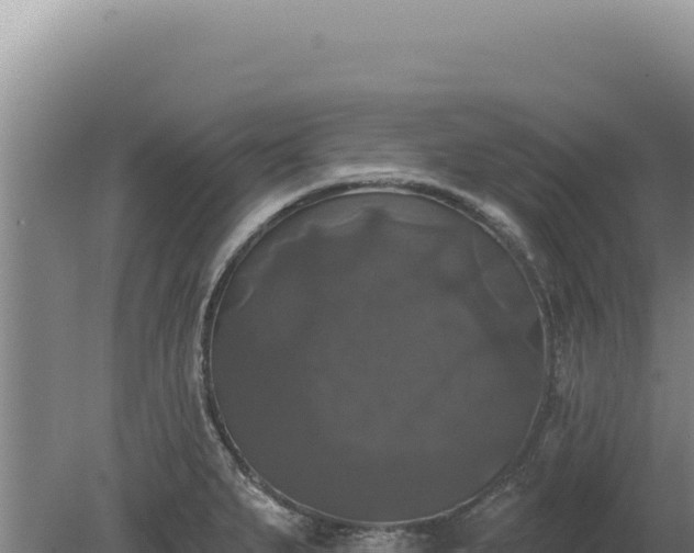 X0000080151279200612151821