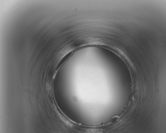 X0000080151281200612151821