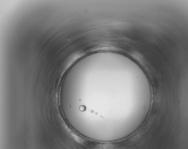 X0000080151282200612151821