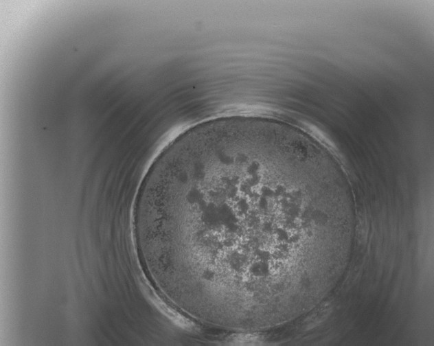 X0000080151283200612151820