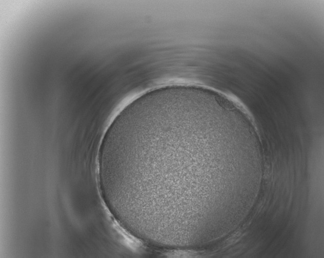 X0000080151287200612151820