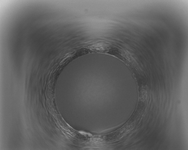 X0000080151297200612151819