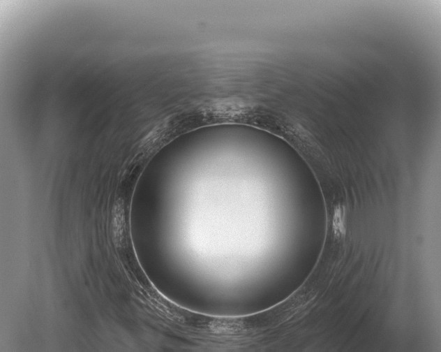 X0000080151299200612151819