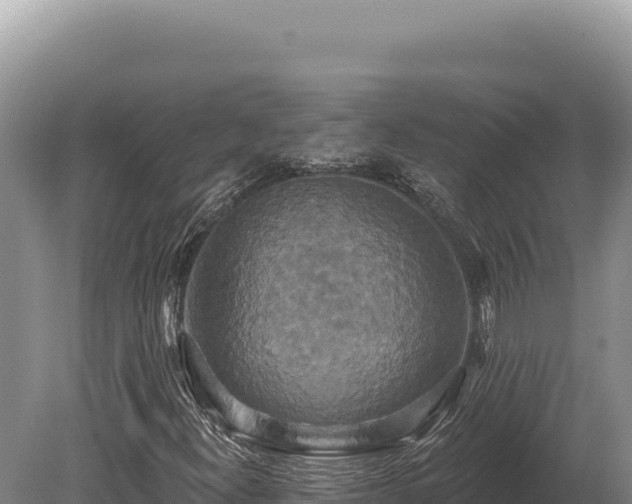 X0000080151300200612151820