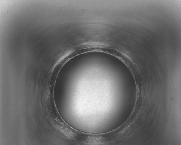 X0000080151309200612151820