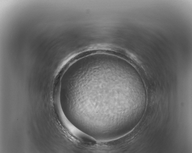 X0000080151312200612151820