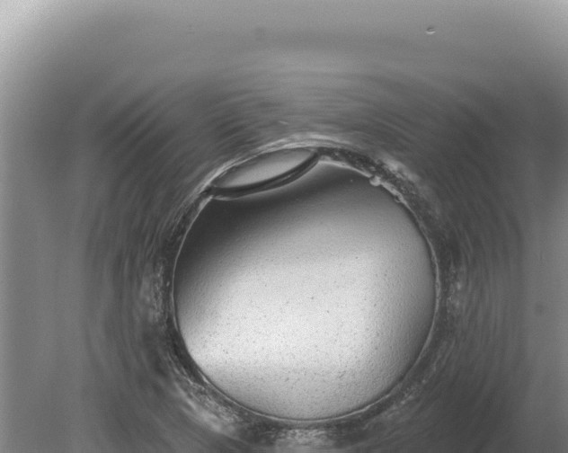 X0000080151313200612151820