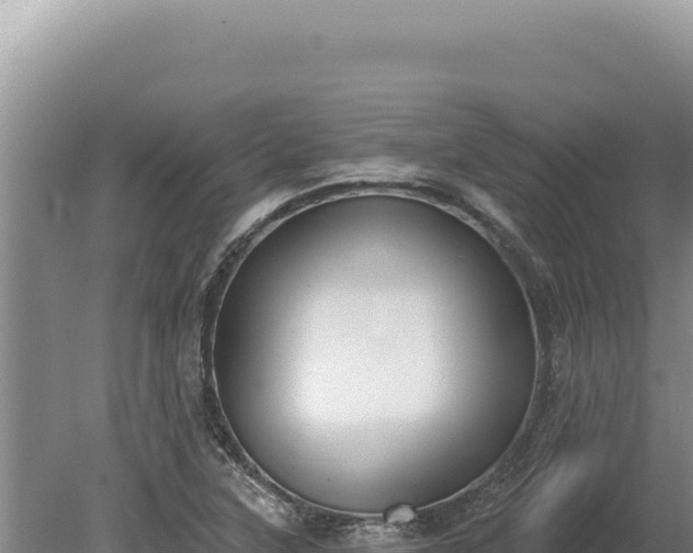 X0000080151315200612151820