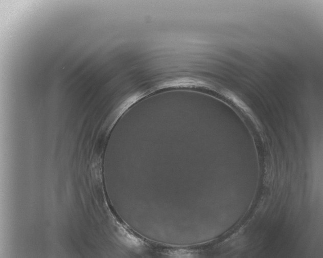 X0000080151329200612151820