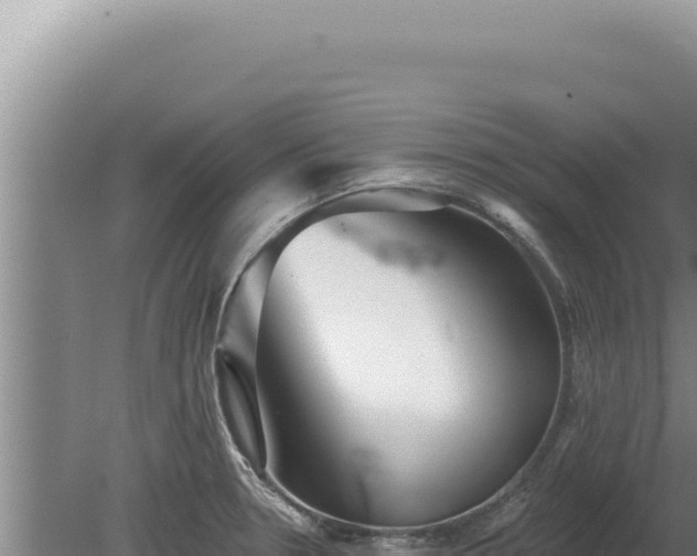 X0000080151330200612151820