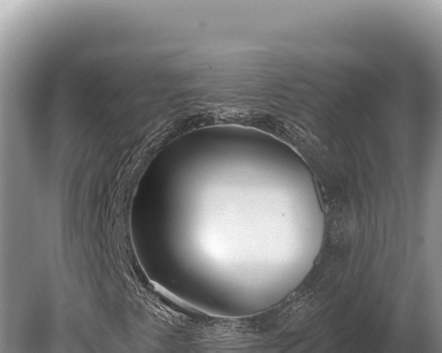 X0000080151345200612151819