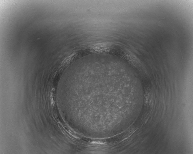 X0000080151346200612151819