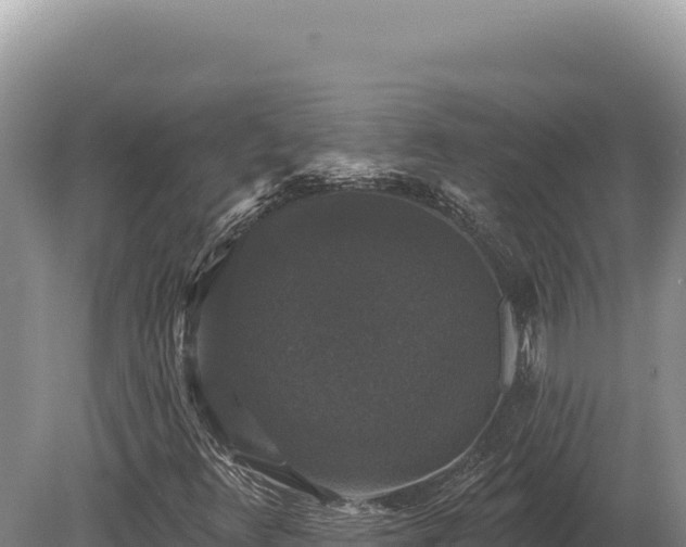 X0000080151348200612151819