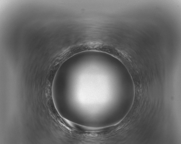 X0000080151349200612151819