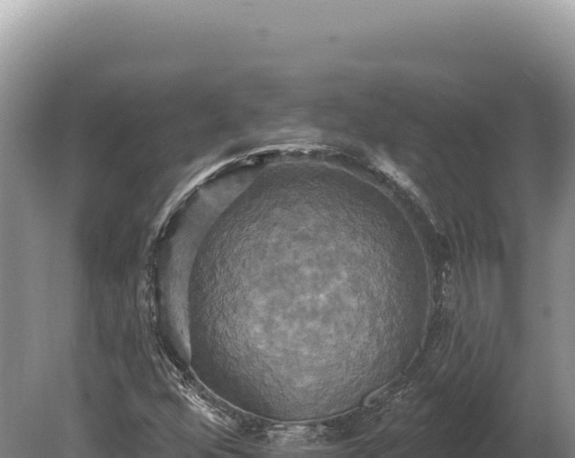 X0000080151352200612151819