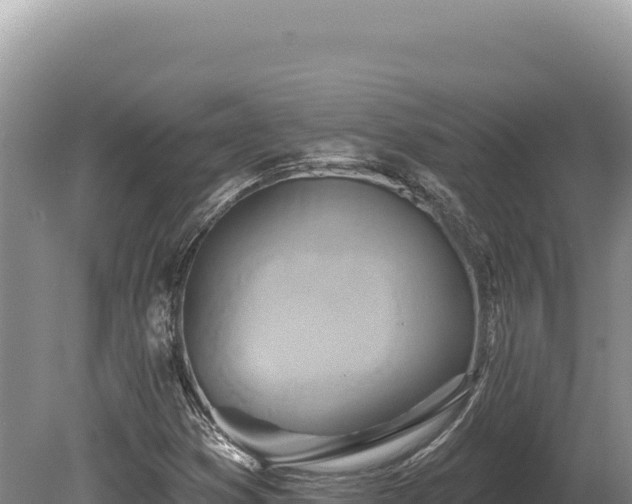 X0000080151353200612151819