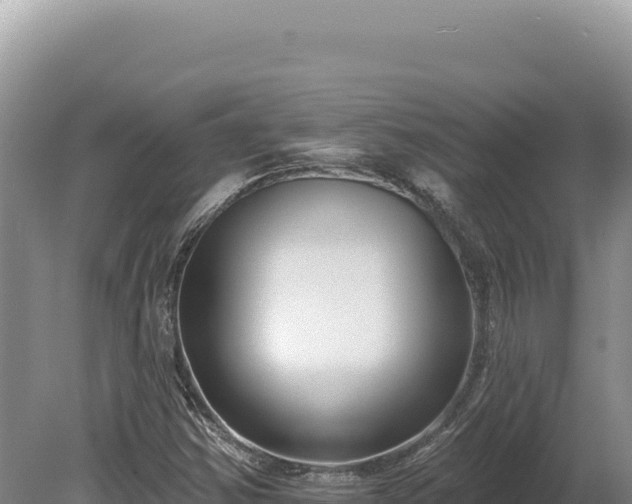 X0000080151354200612151819