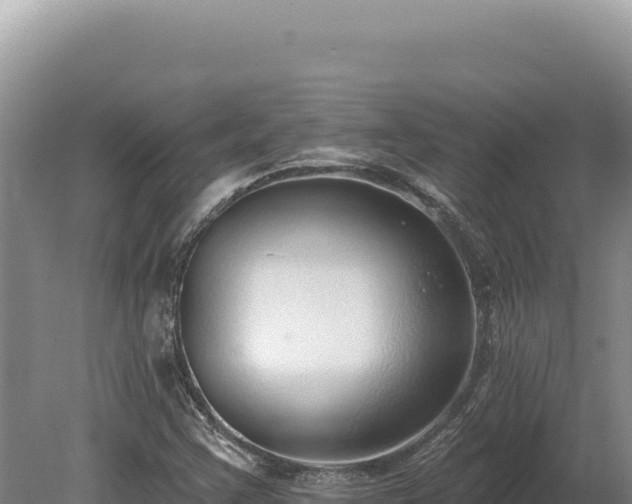 X0000080151355200612151819
