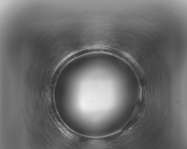 X0000080151356200612151819