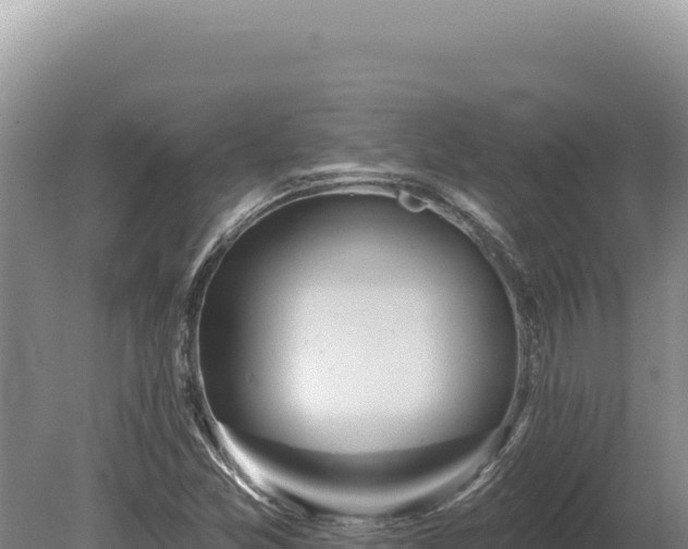 X0000080151357200612151819