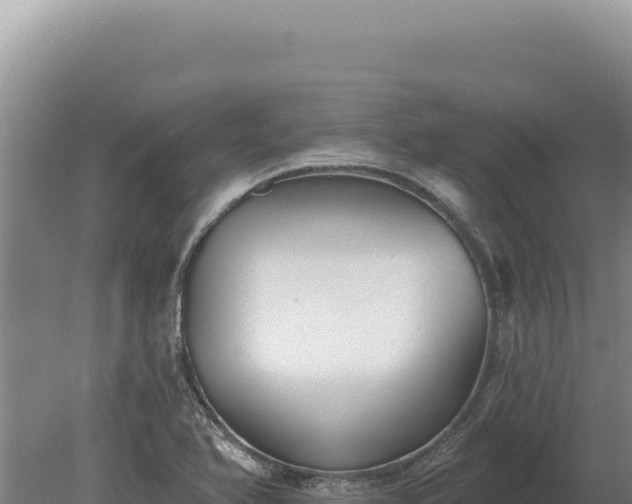 X0000080151366200612151819