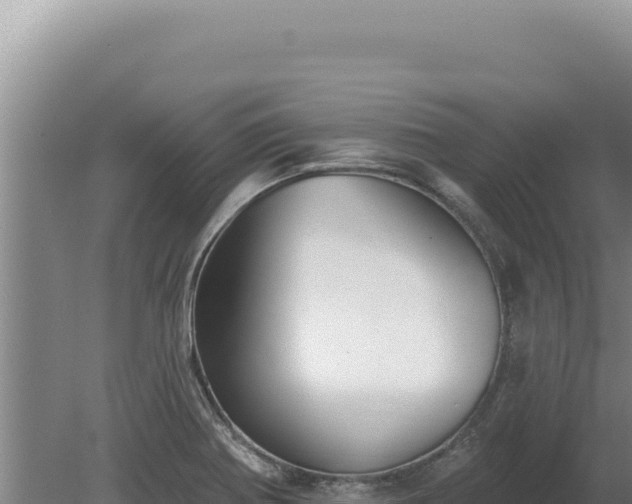 X0000080151370200612151819