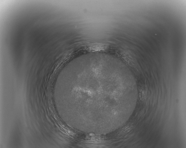 X0000080151393200612151818