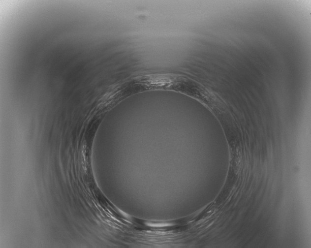 X0000080151394200612151818