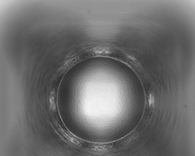 X0000080151396200612151818