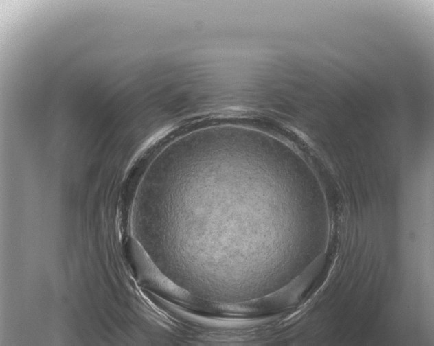 X0000080151402200612151818