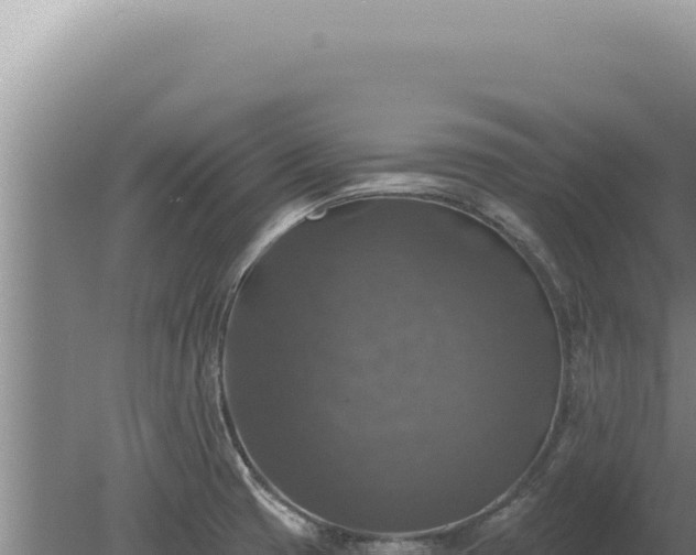 X0000080151425200612151818