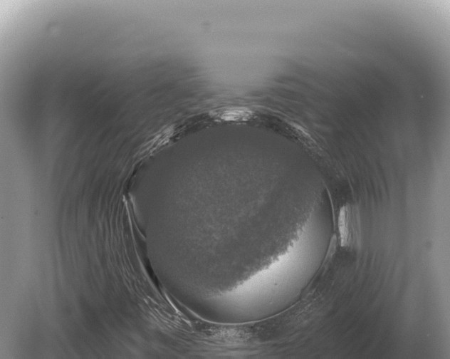 X0000080151443200612151818