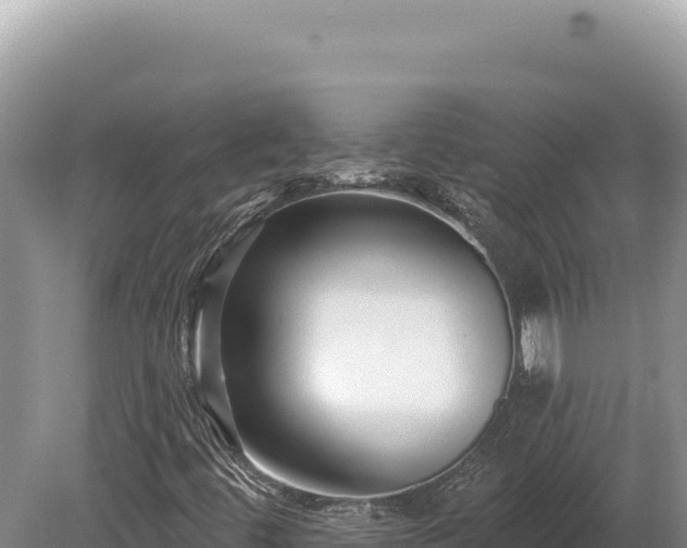 X0000080151444200612151818