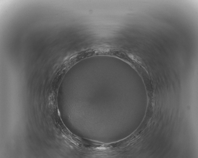 X0000080151445200612151818