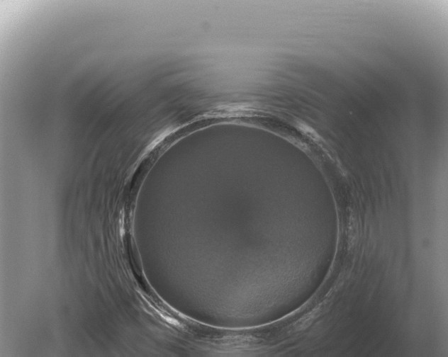 X0000080151449200612151818