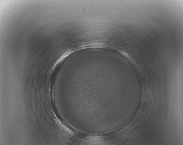 X0000080151450200612151818