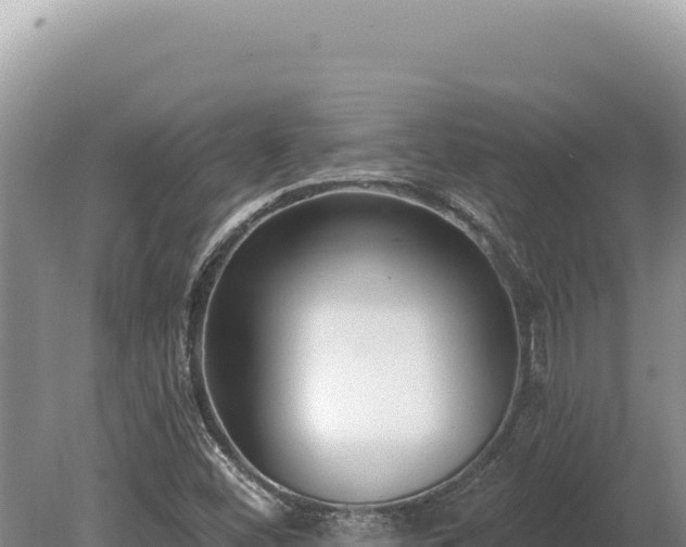 X0000080151452200612151818