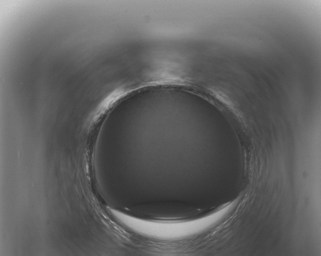 X0000080151455200612151818