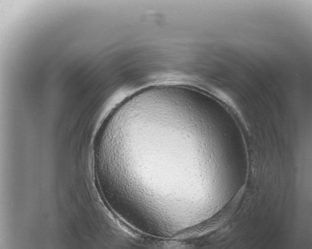 X0000080151472200612151817